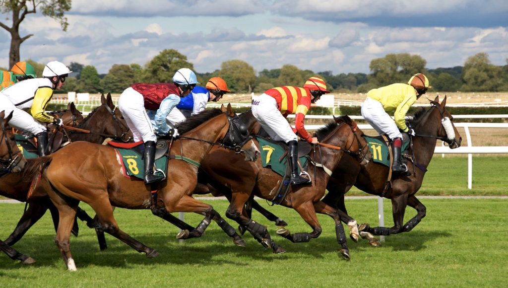 Wyścigi konne obstawianie w internecie